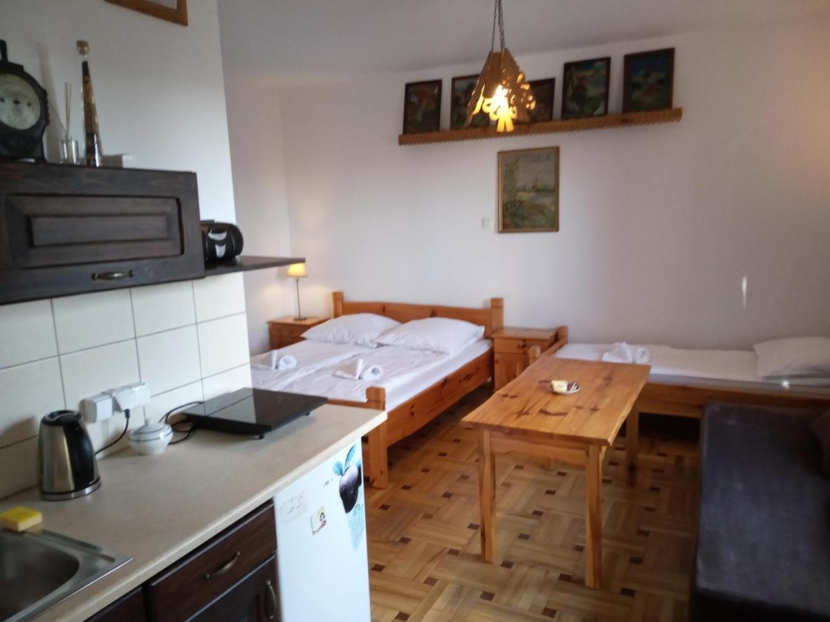 Willa Na Bani - Apartamenty I Pokoje Rabka Buitenkant foto
