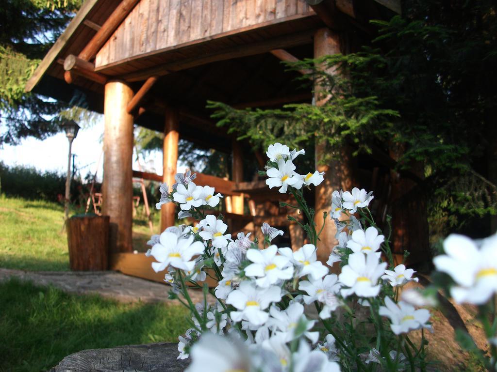 Willa Na Bani - Apartamenty I Pokoje Rabka Buitenkant foto