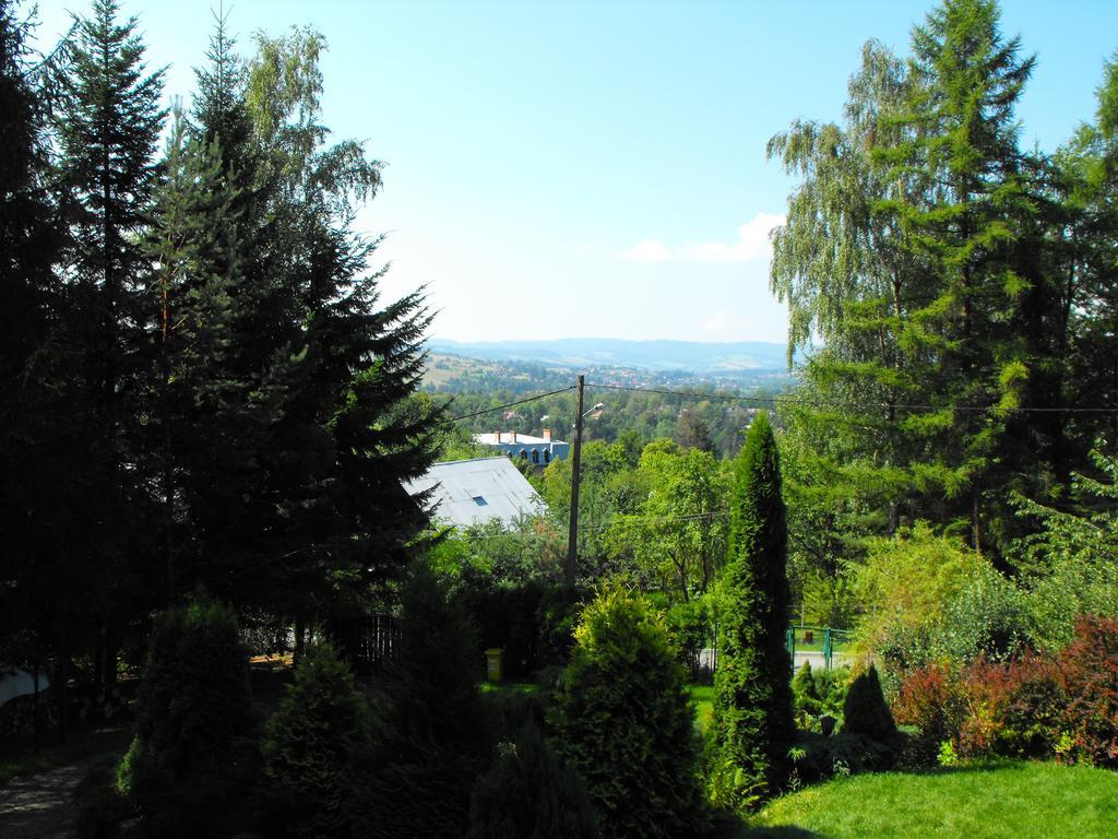 Willa Na Bani - Apartamenty I Pokoje Rabka Buitenkant foto