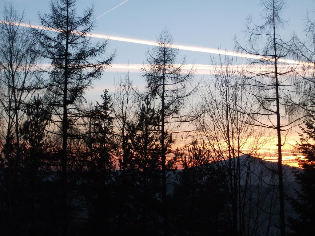 Willa Na Bani - Apartamenty I Pokoje Rabka Buitenkant foto