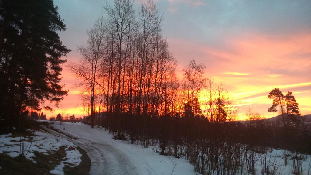 Willa Na Bani - Apartamenty I Pokoje Rabka Buitenkant foto